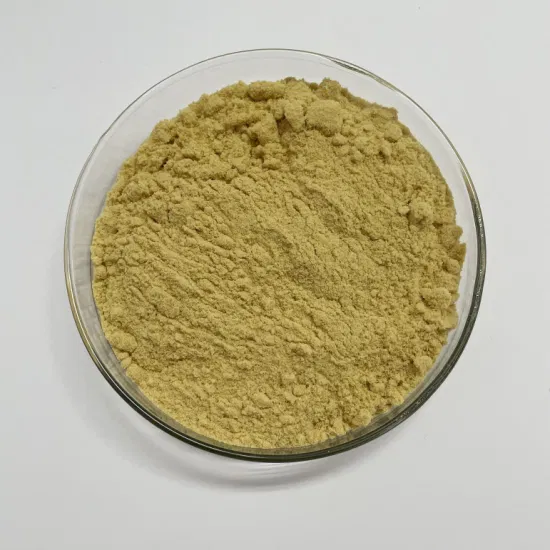 Best Water Treatment Chemical Polyferric Sulfate Pfs CAS: 10028